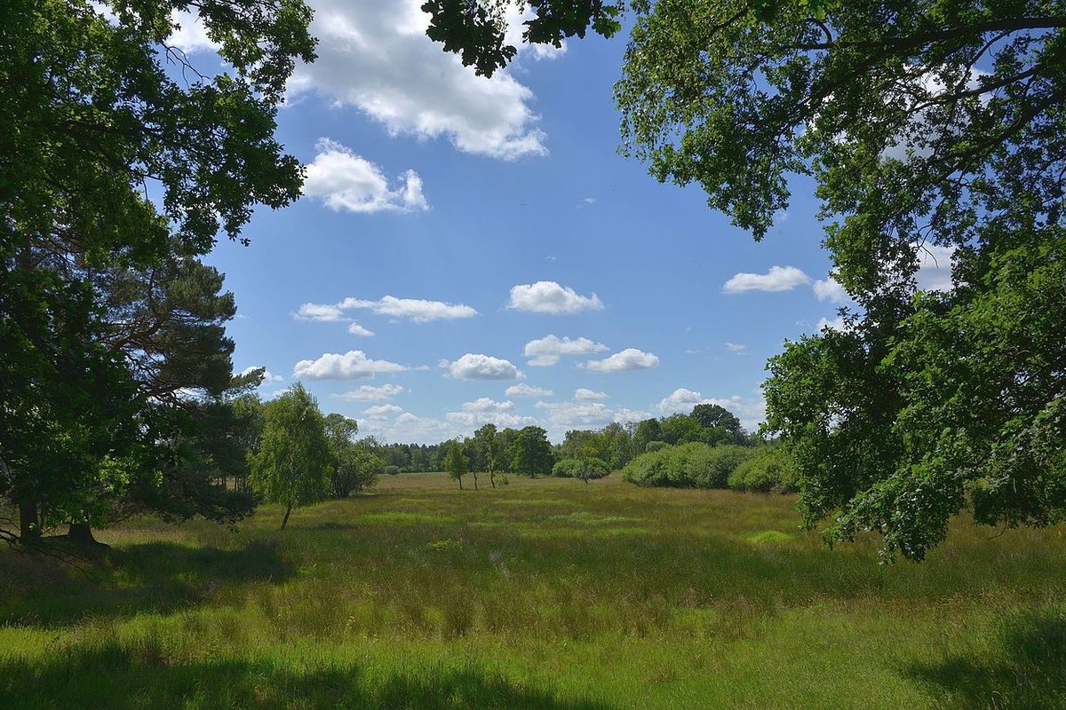 Naturschutzgebiet Kinderberg-Stellbach im Landkreis Rotenburg (Wümme)